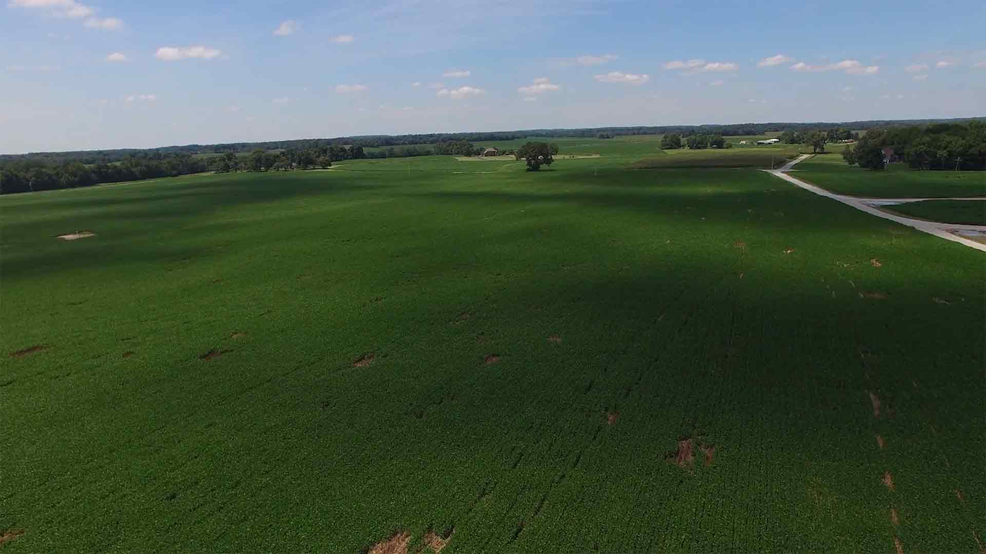 Excerpt of Documentary filmed on location for Leading University.